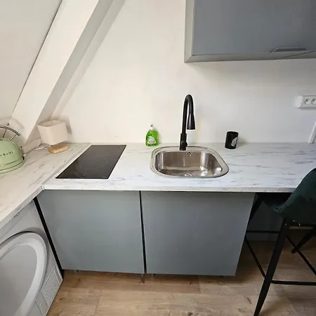 Sauna Commun Et Privee A 50 M De La Plage- Parking Prive, Salle De Bain Et Cuisine Commune * 勒波泰勒